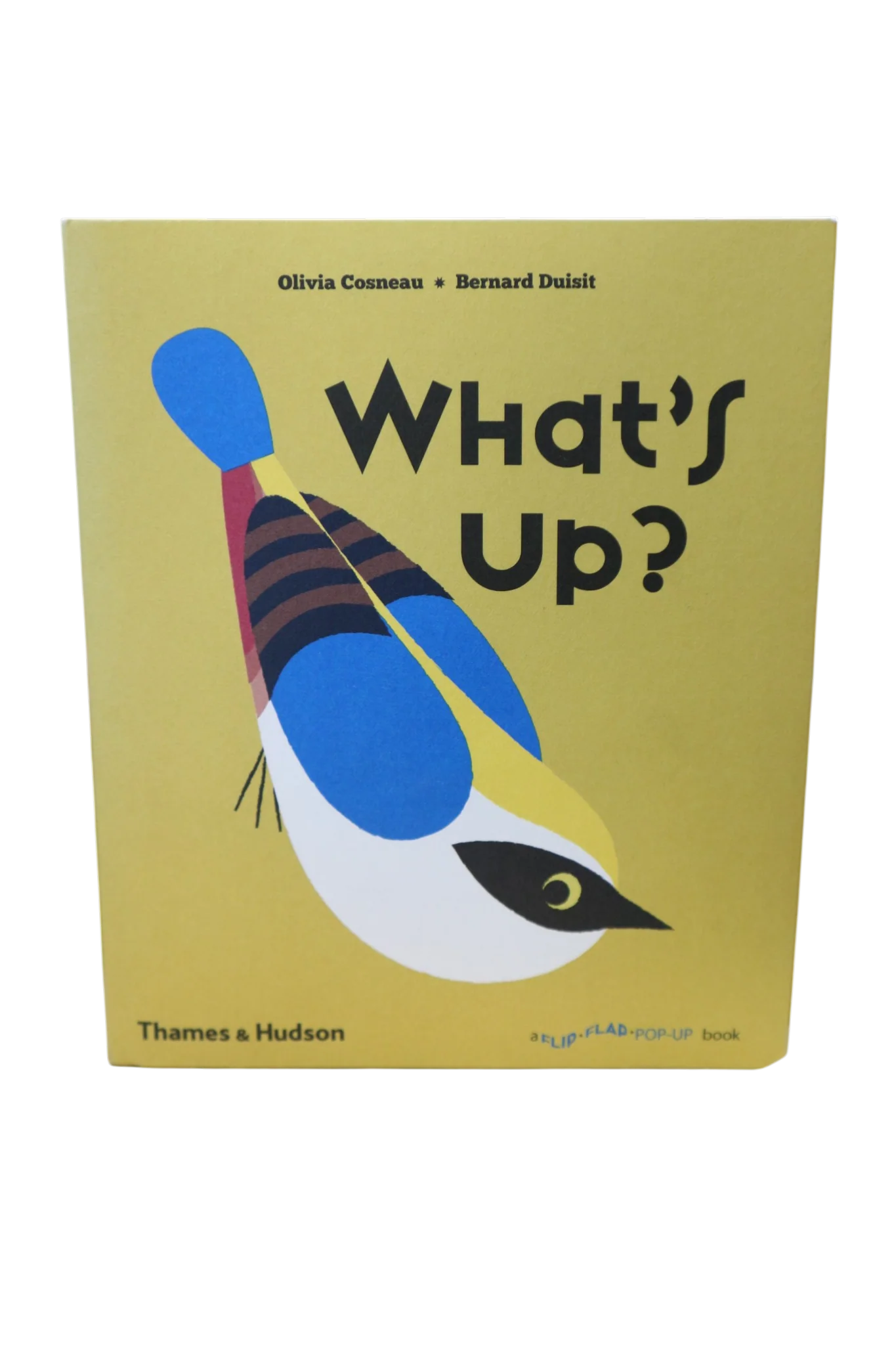 What's Up - Book