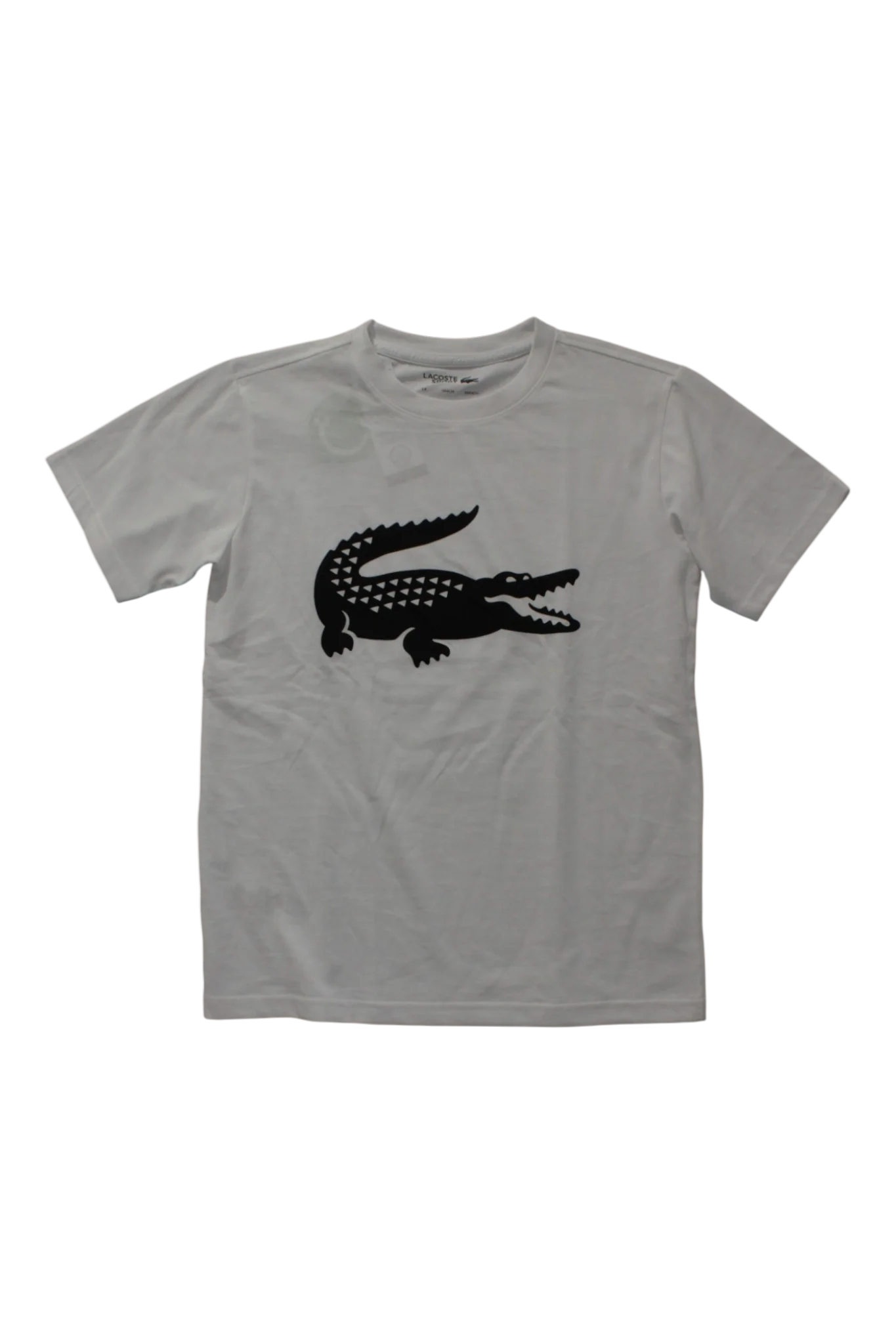 Lacoste T-Shirt, 14
